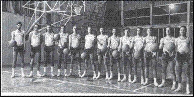 Auso Siemens formazione 1968/69 al completo. Da sinistra: Rossetti, Schiavon, Giandomenico Ongaro, Elio Ongaro, Lucio Ongaro, Barbieri, Danieletto, Turra, Brega Cesare, Visai, Stepanoff, Piero Brega e Rucano.